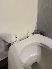 Dirty toilet with past poop on seat