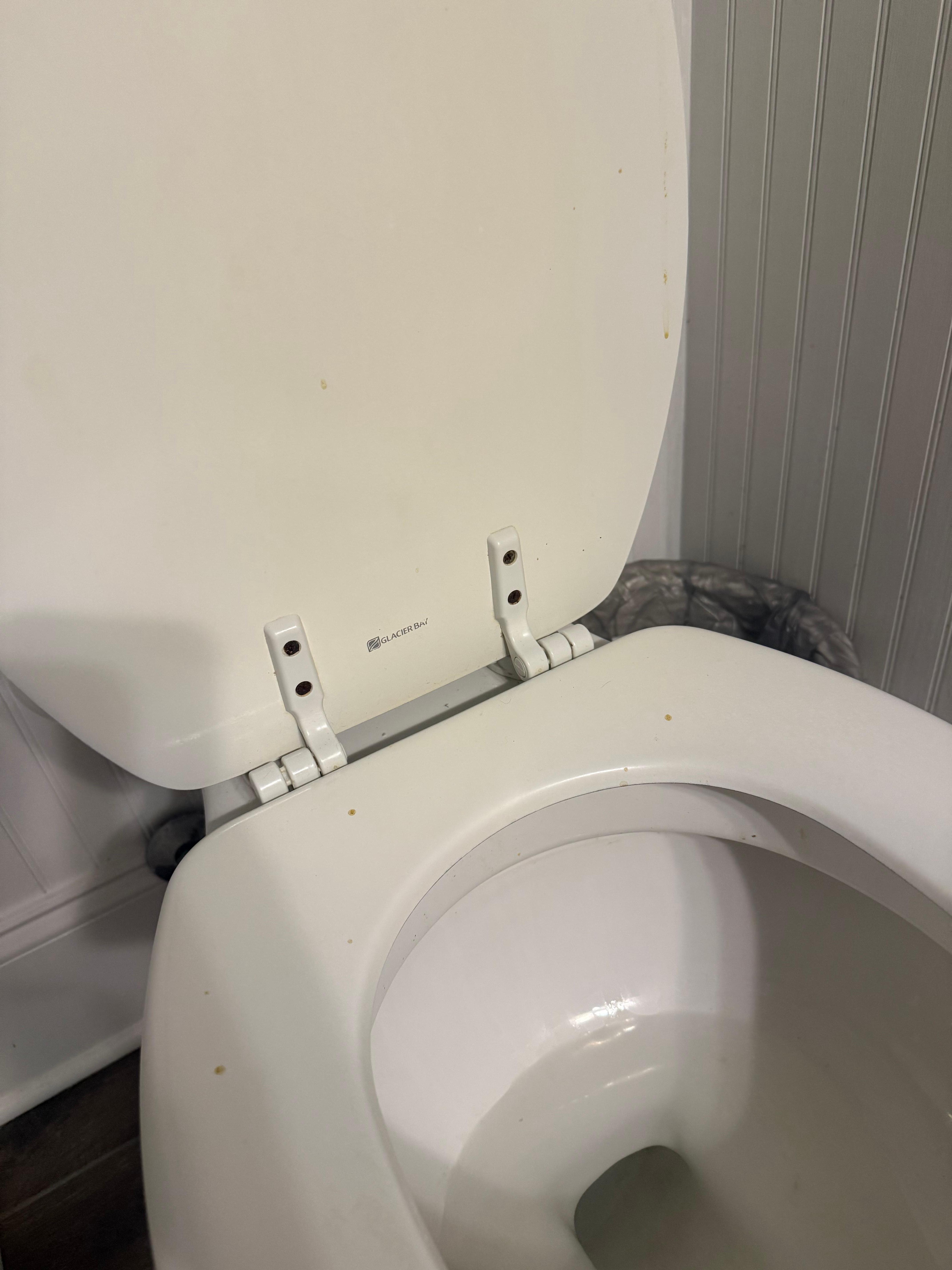 Dirty toilet with past poop on seat
