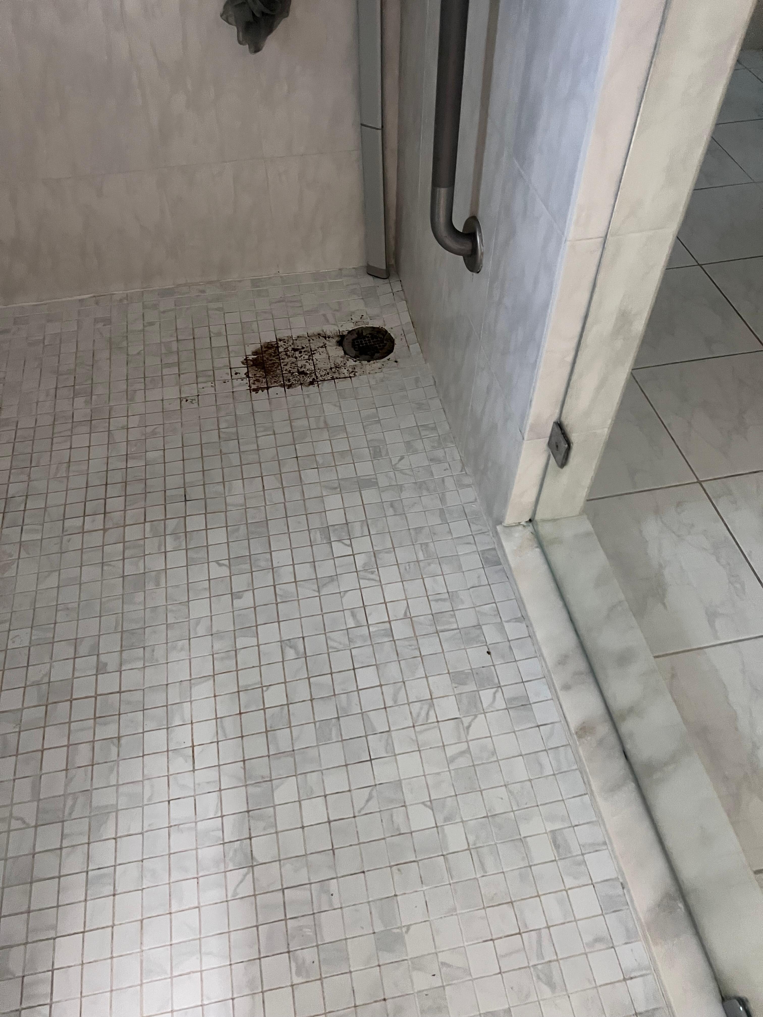 Sewage coming from master shower 
