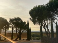 View from the porch