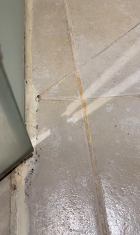 Dirty bathroom with mold and stains