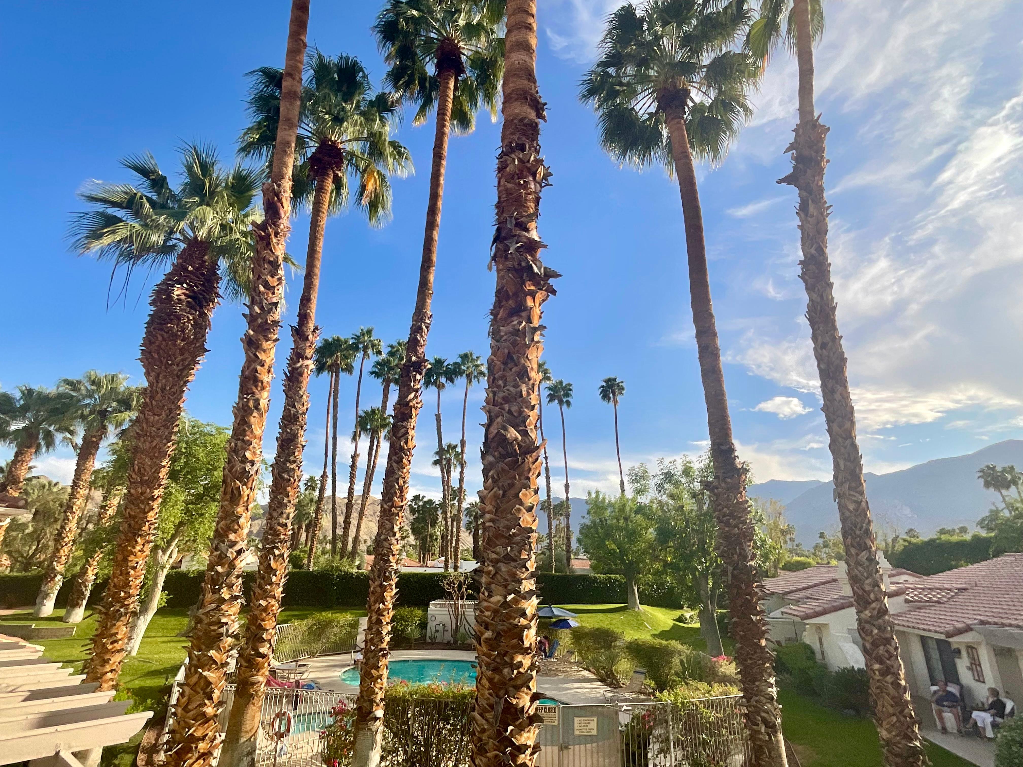 Pool as Seen from the main balcony