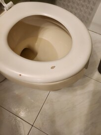 Stained toilet bowl seat crackef