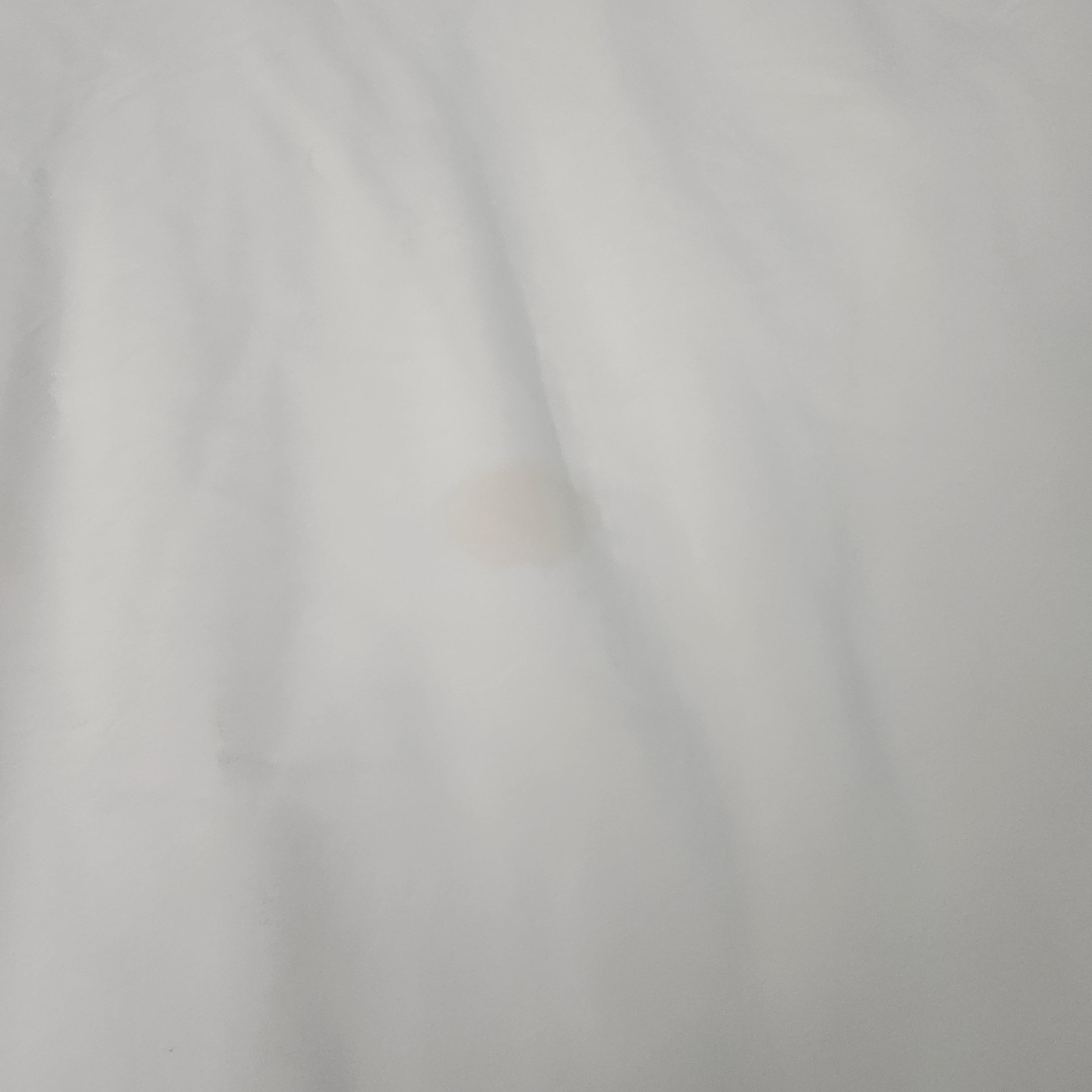 There were several spots on the sheets when we arrived that appeared to be urine and or semen. 