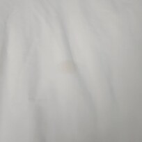 There were several spots on the sheets when we arrived that appeared to be urine and or semen.