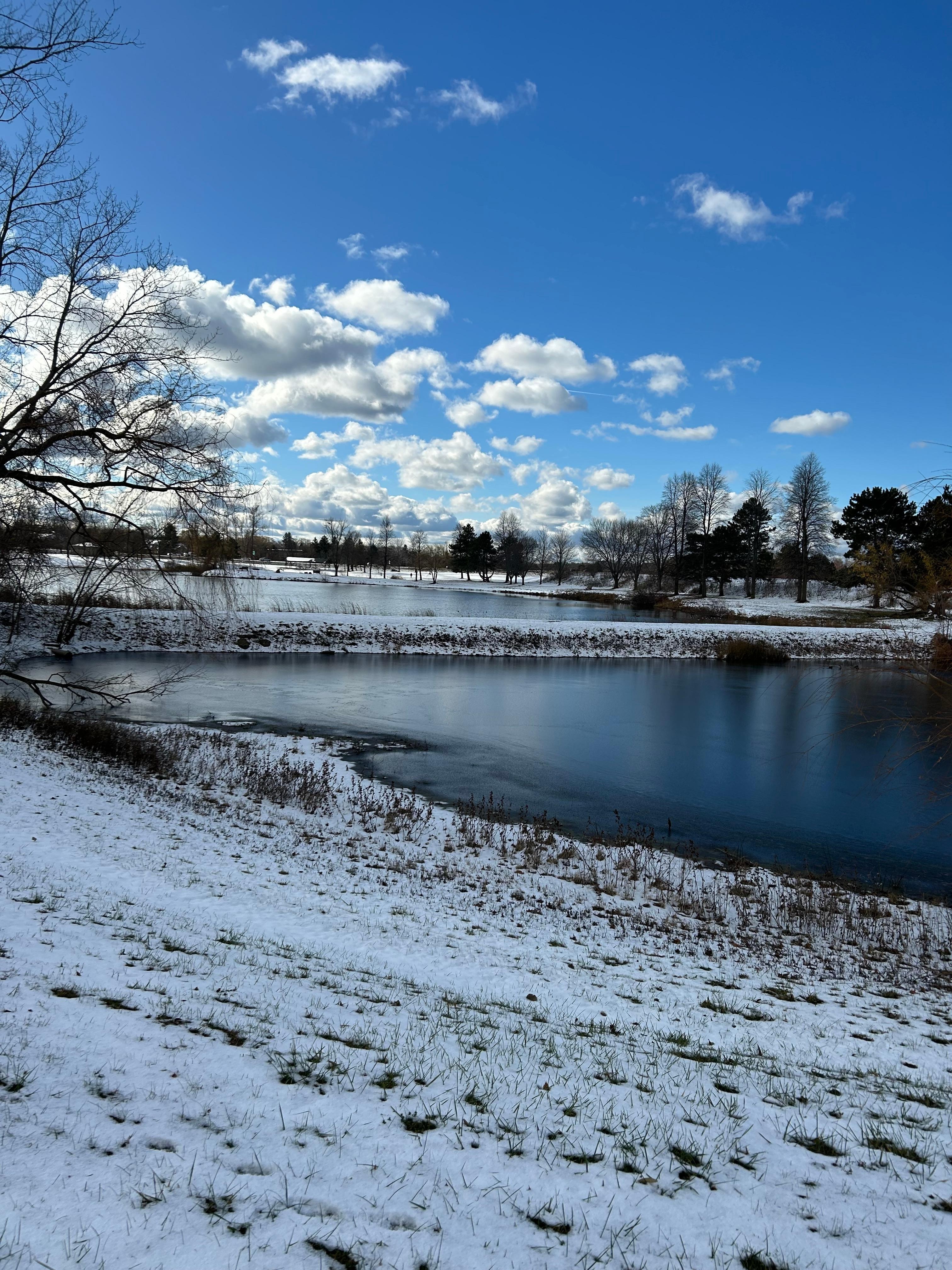Ponds with walkway behind hotel. Great for a morning walk .