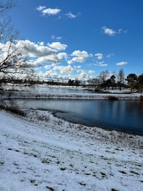 Ponds with walkway behind hotel. Great for a morning walk .