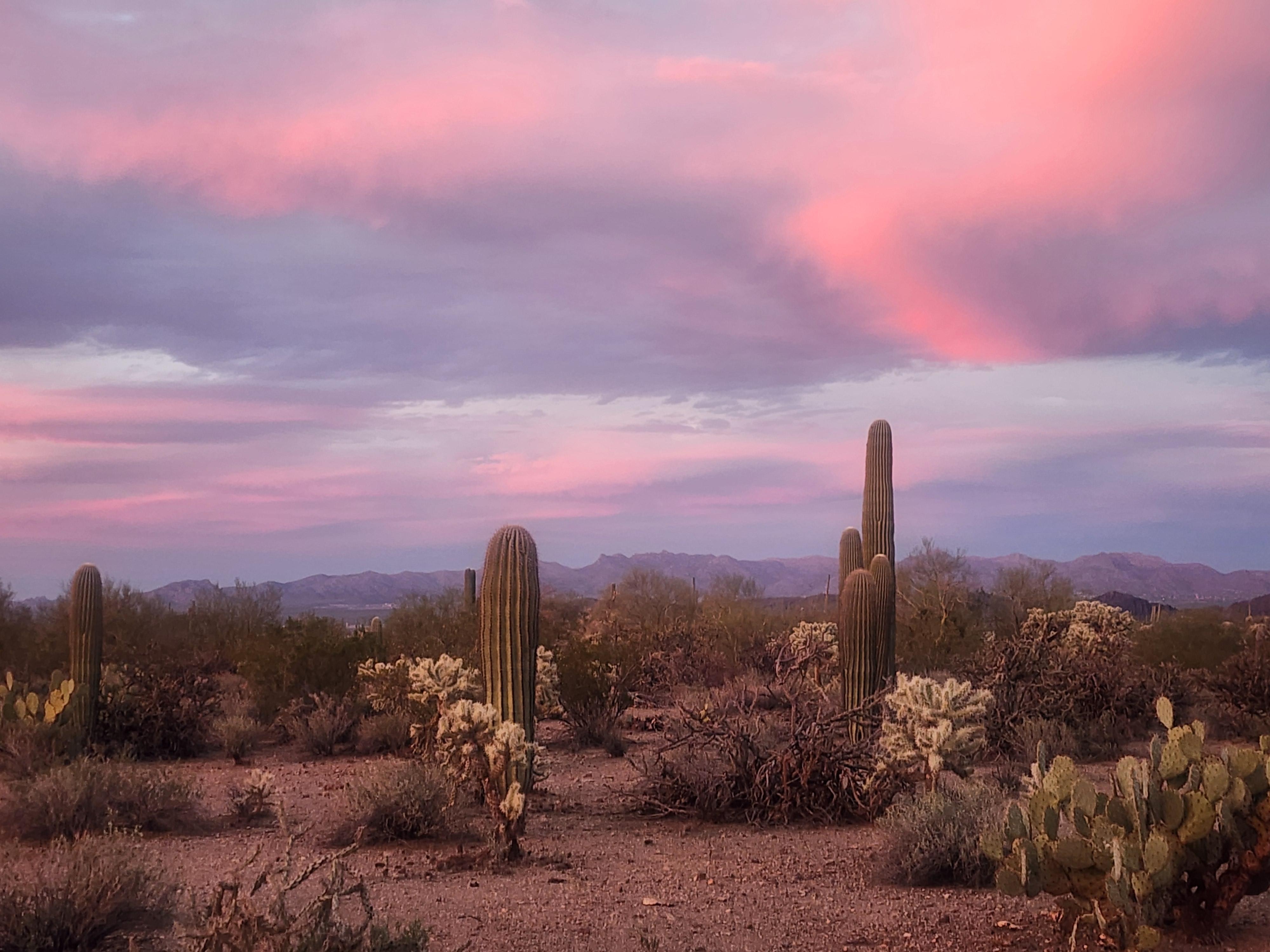Trails across from the property 