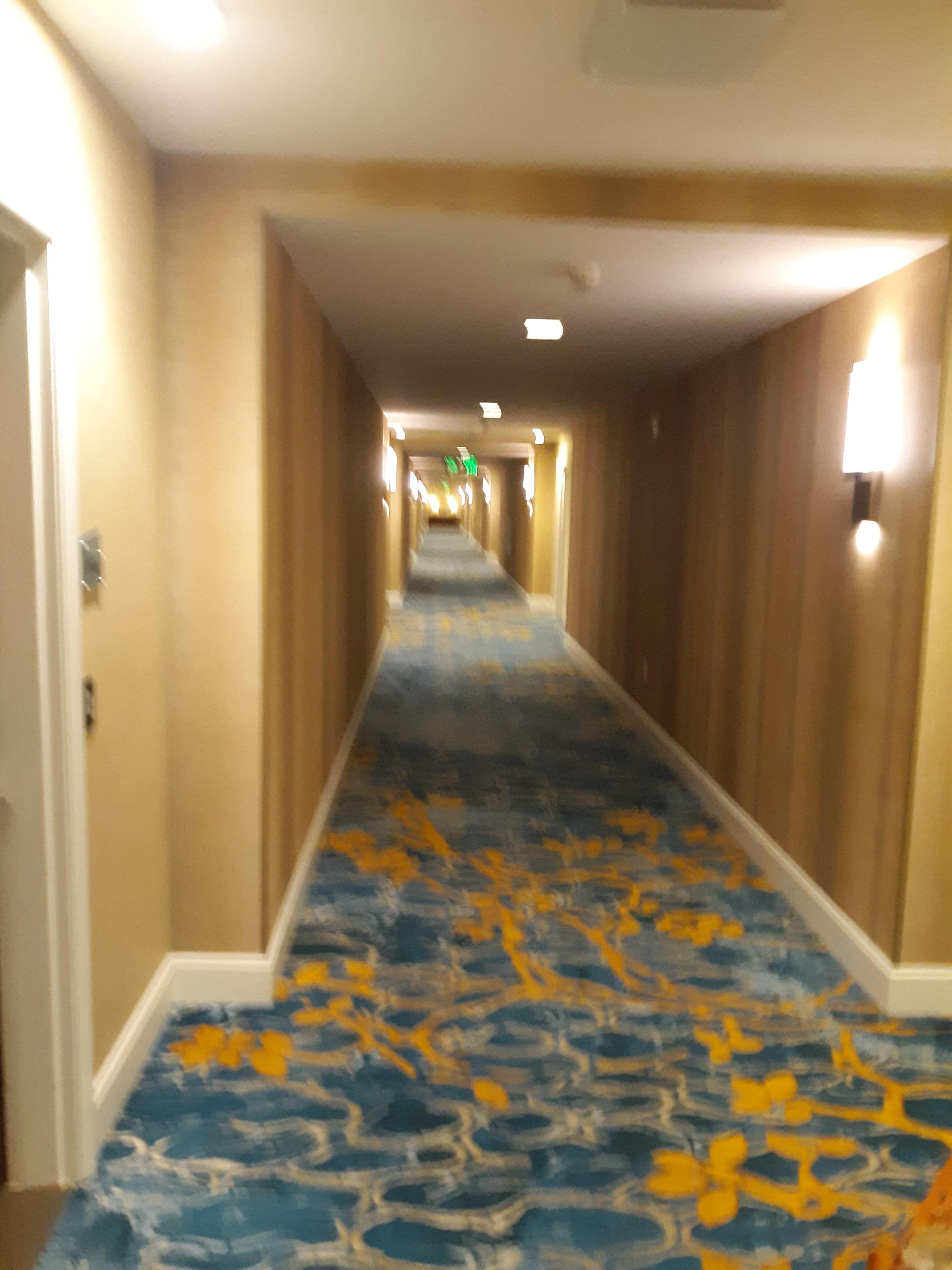 The Hallway