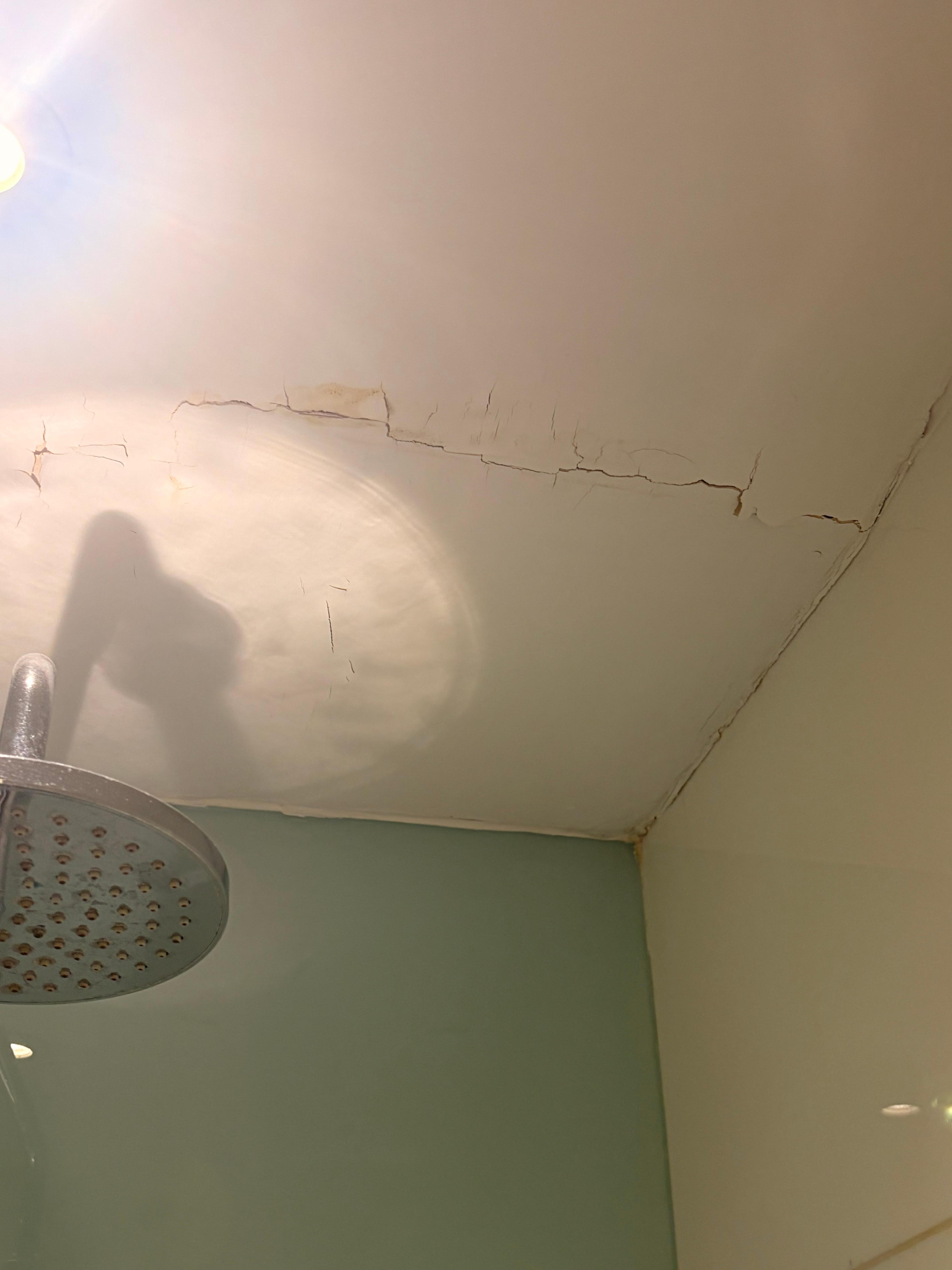 peeling paint and damp