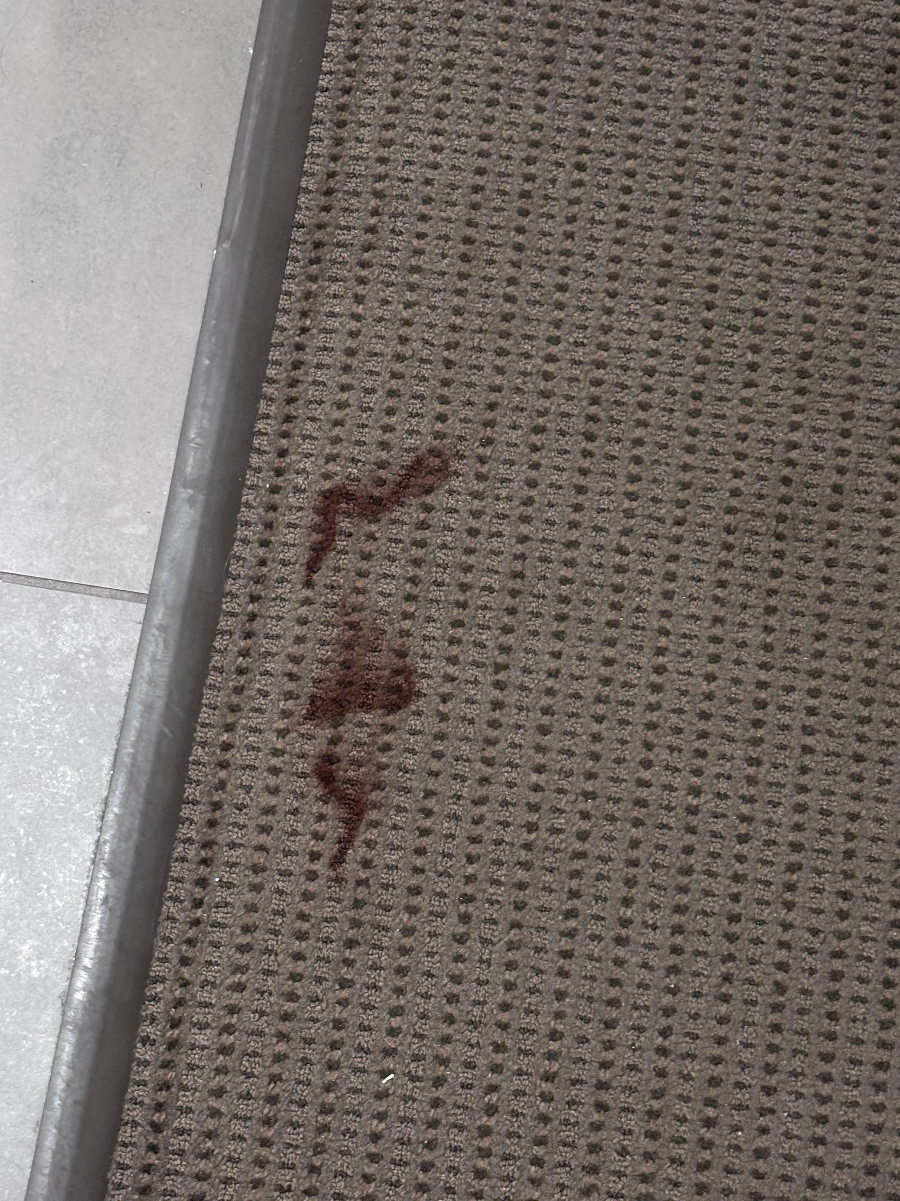 Blood stains on the carpert!