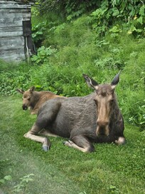 View from the entry window