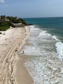 Crane Beach