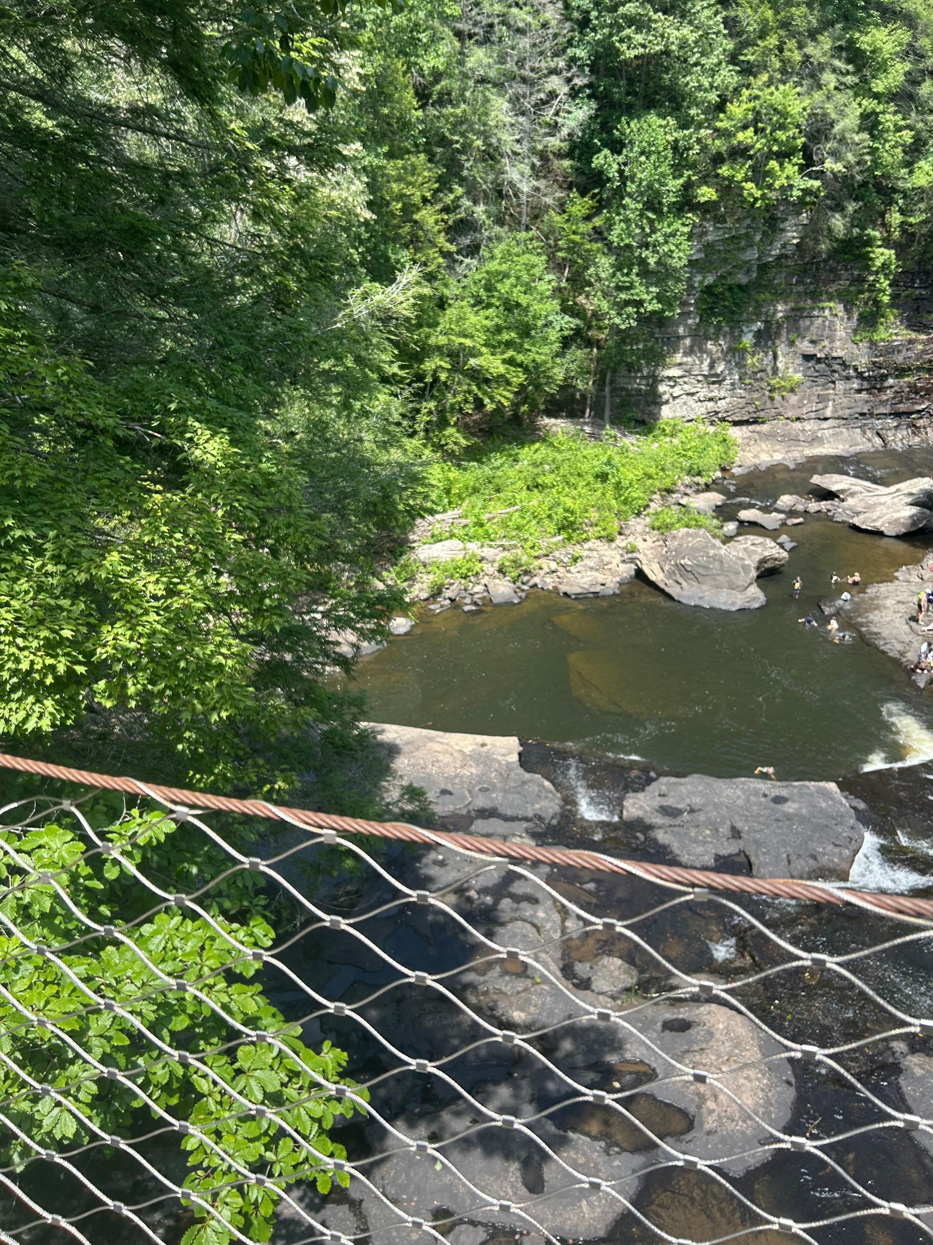 Walking bridge at Falls Creek State Park