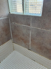Mold all over tiles