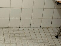 Shower tile