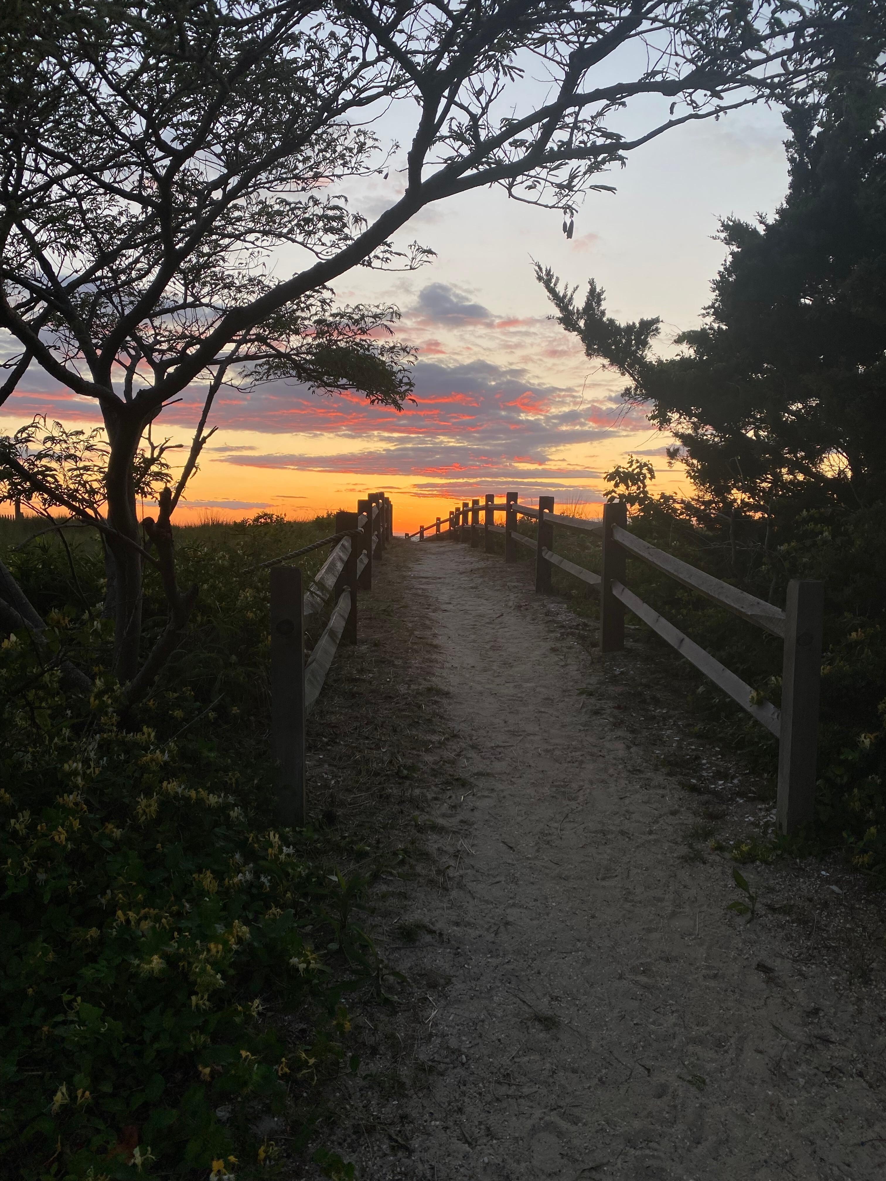 Sunset along path to the beach
