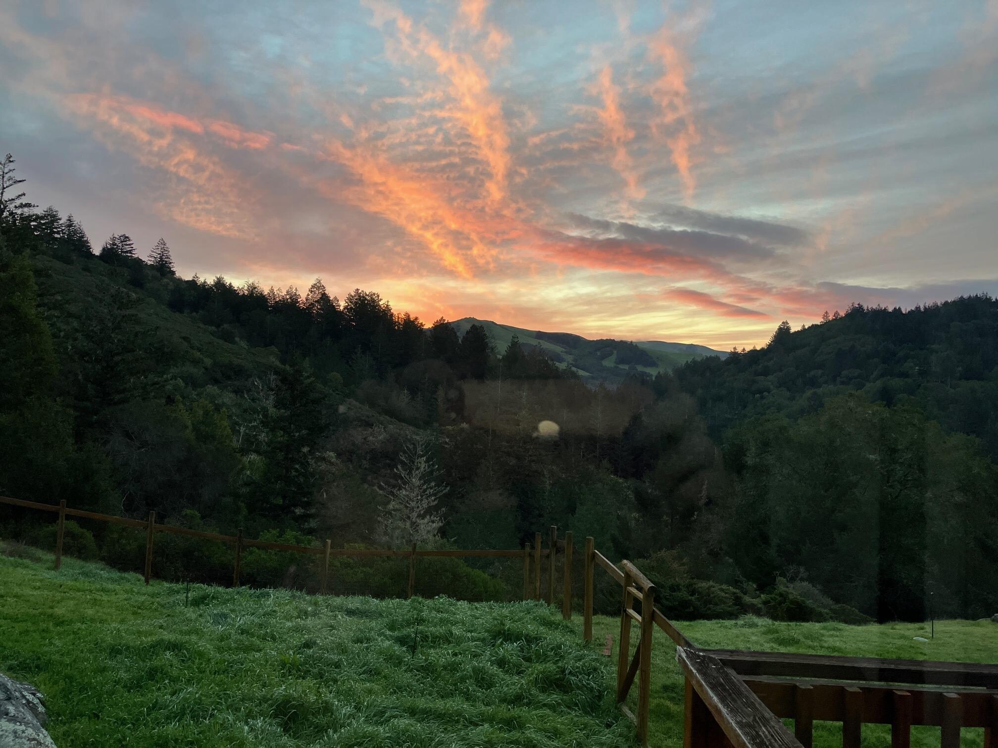 Sunrise from Unit #2