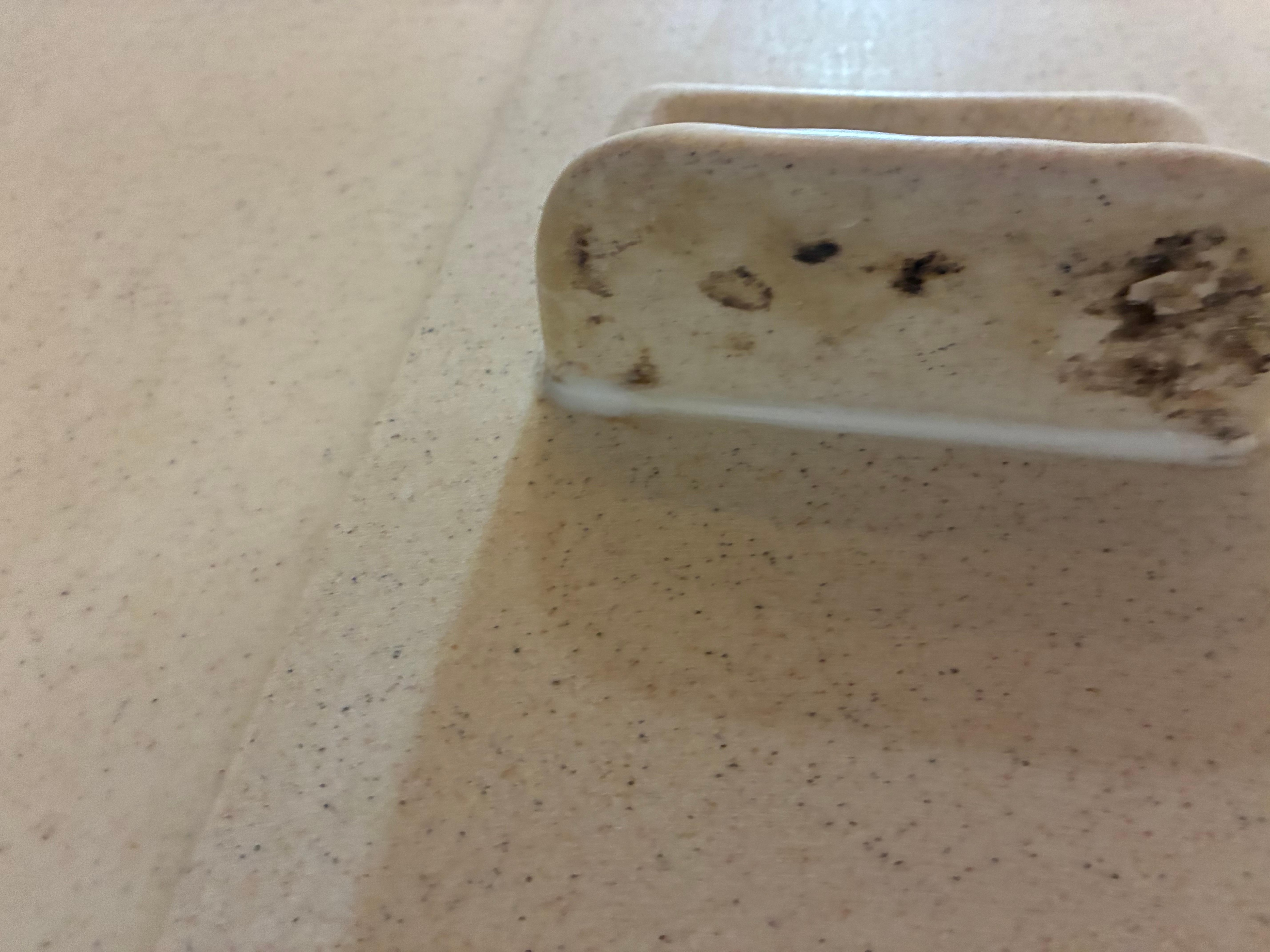 Mold under soap holder in tub. 