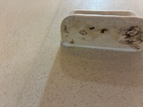 Mold under soap holder in tub.