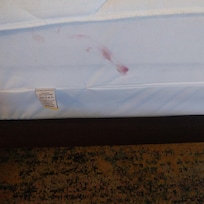 On mattress cover room 231