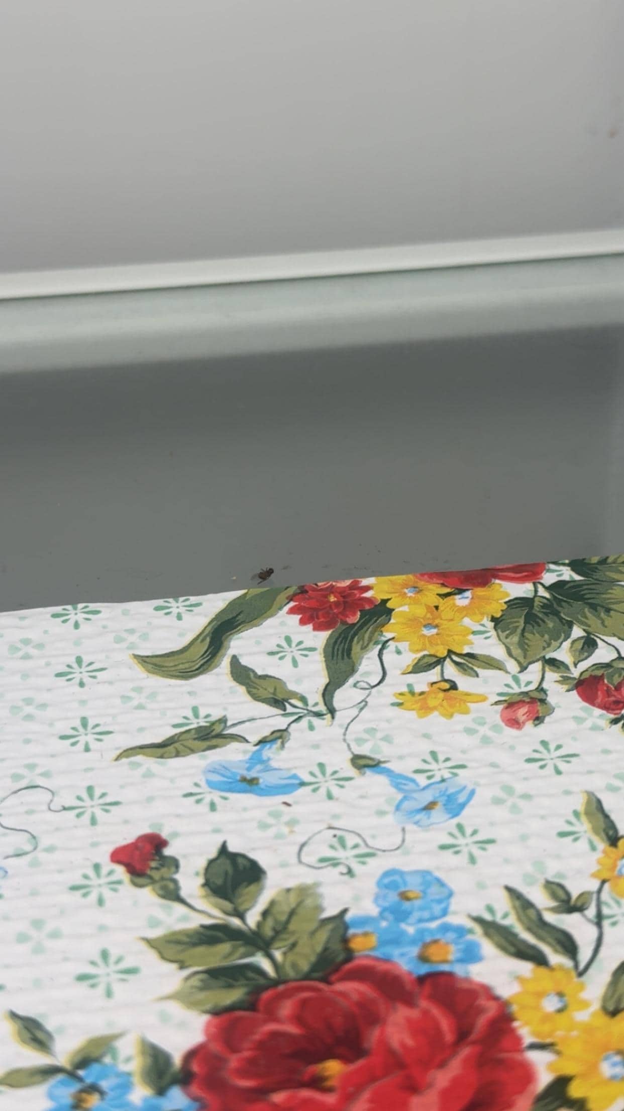 I would add more fridge pics if I could 