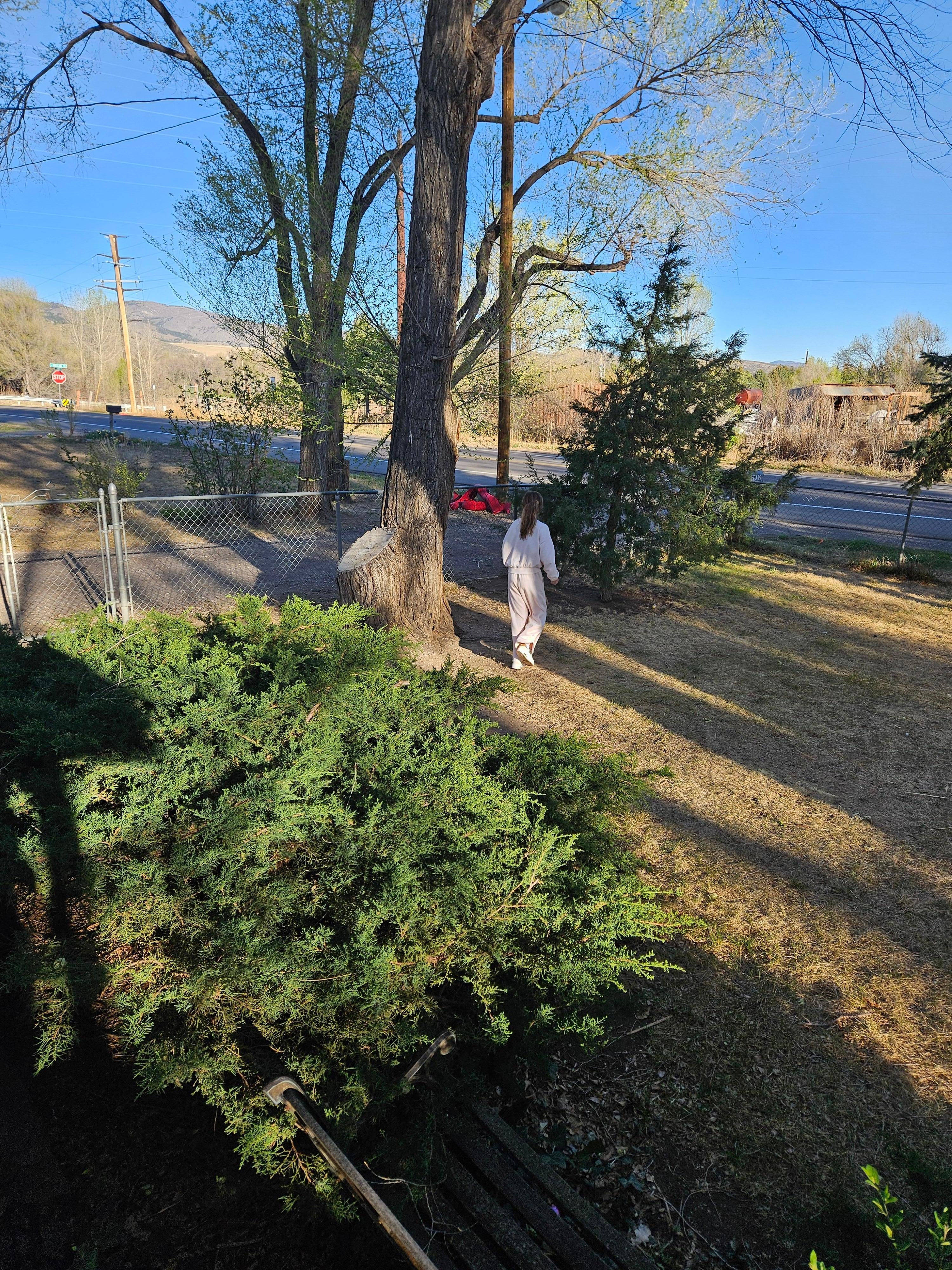 Hunting Easter Eggs in the front yard