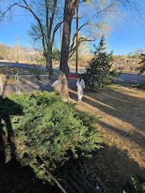 Hunting Easter Eggs in the front yard