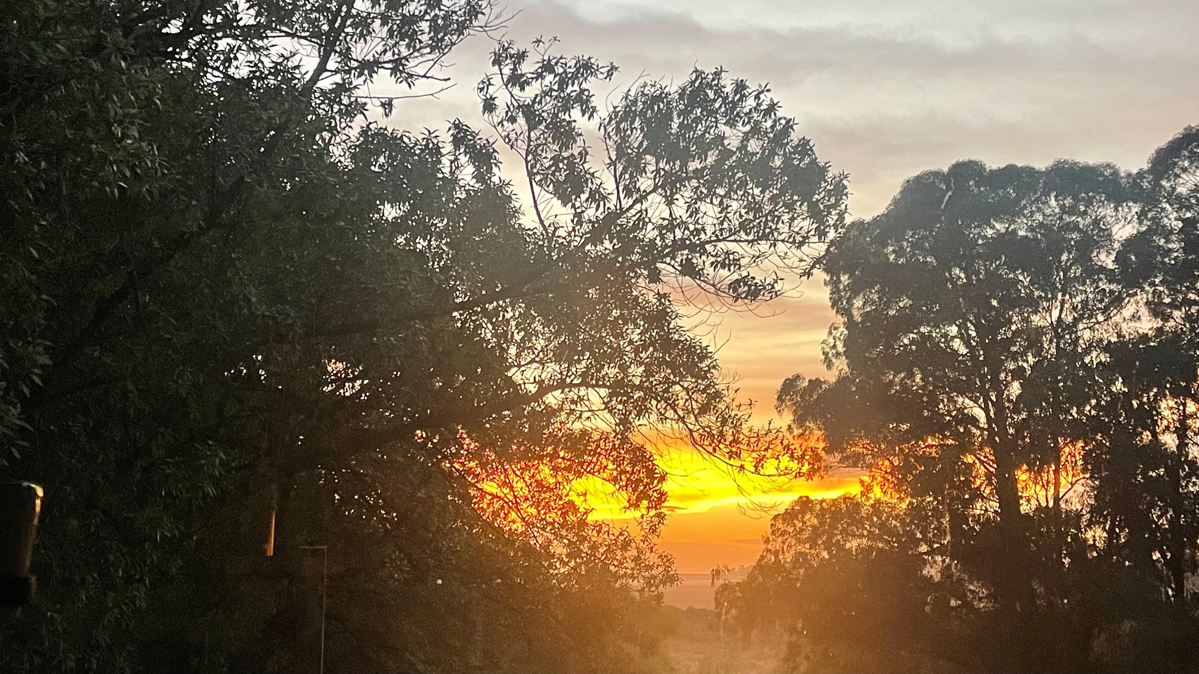 Gorgeous views from living room window.