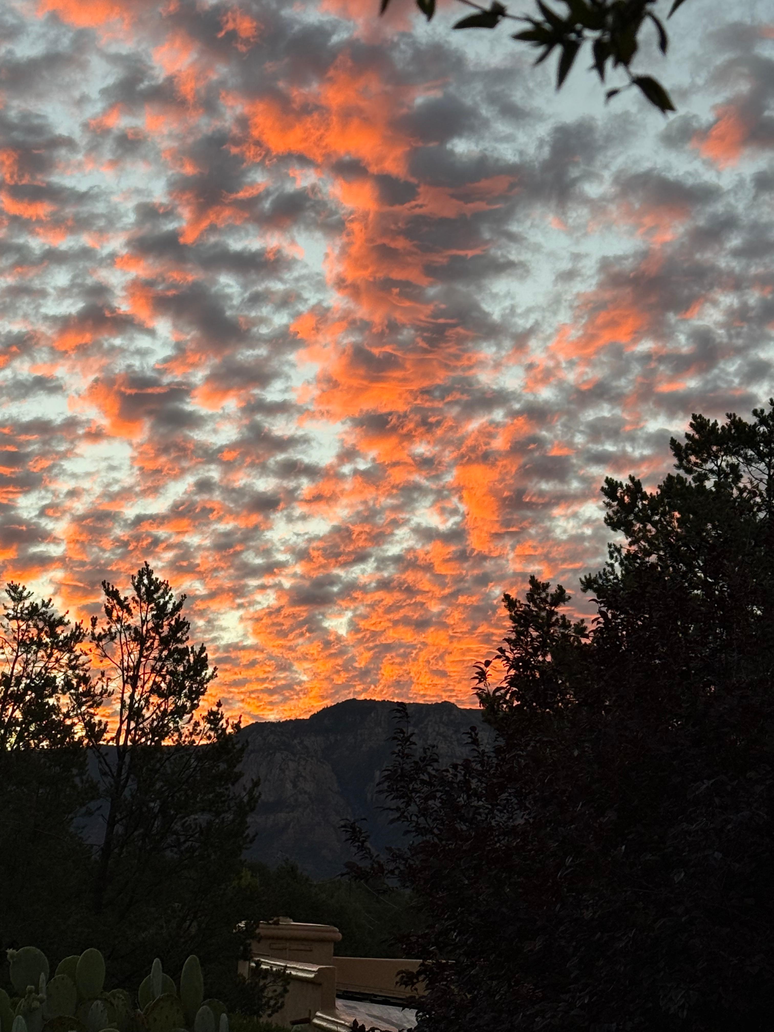 Worth the early wake up to see this!  