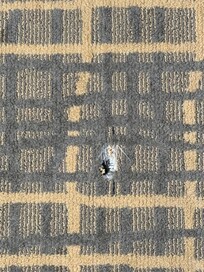 Hole in floor