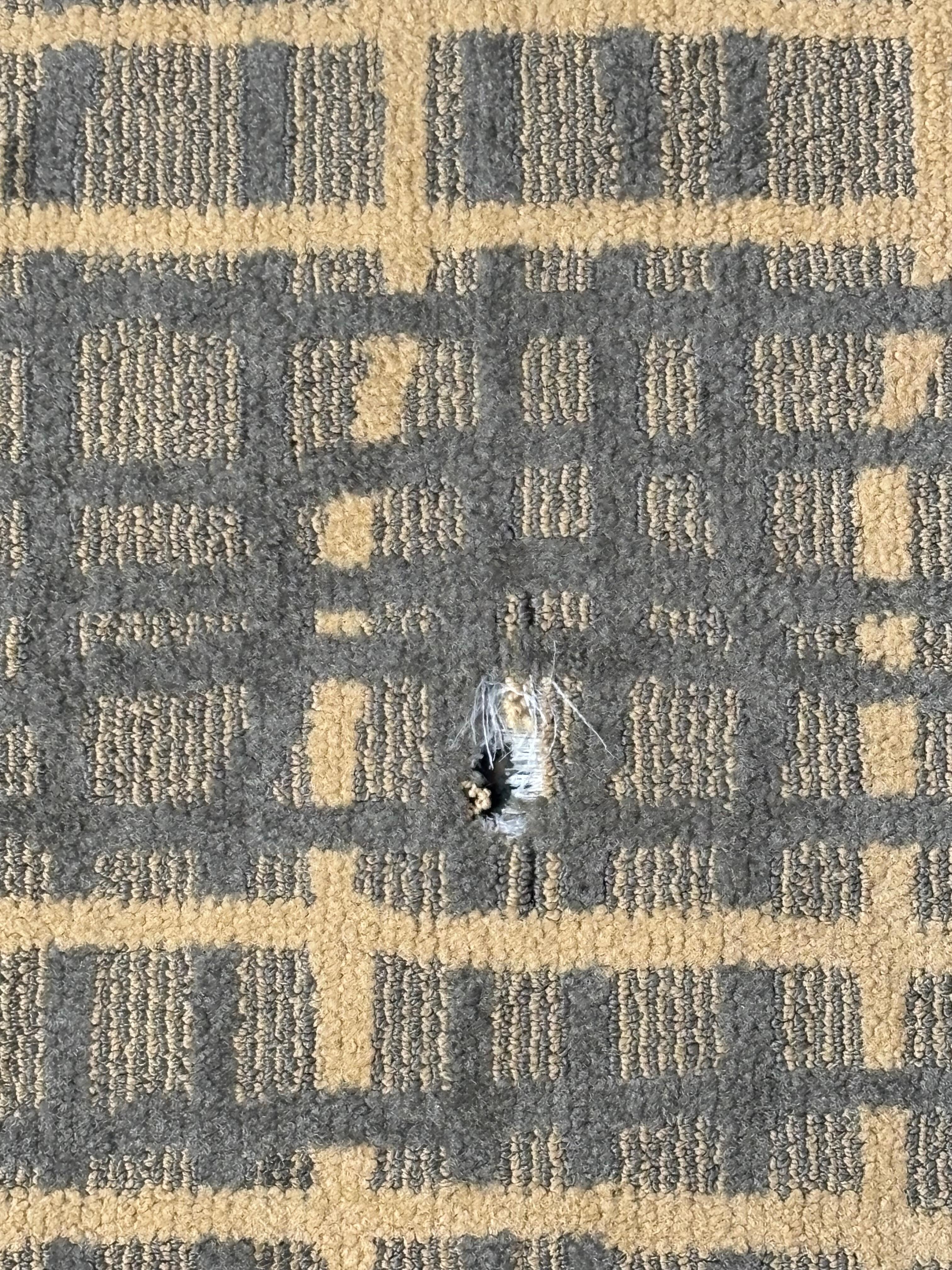 Hole in floor
