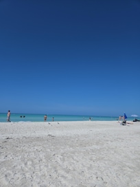 Beach was very nice this year. And the crabs are back!