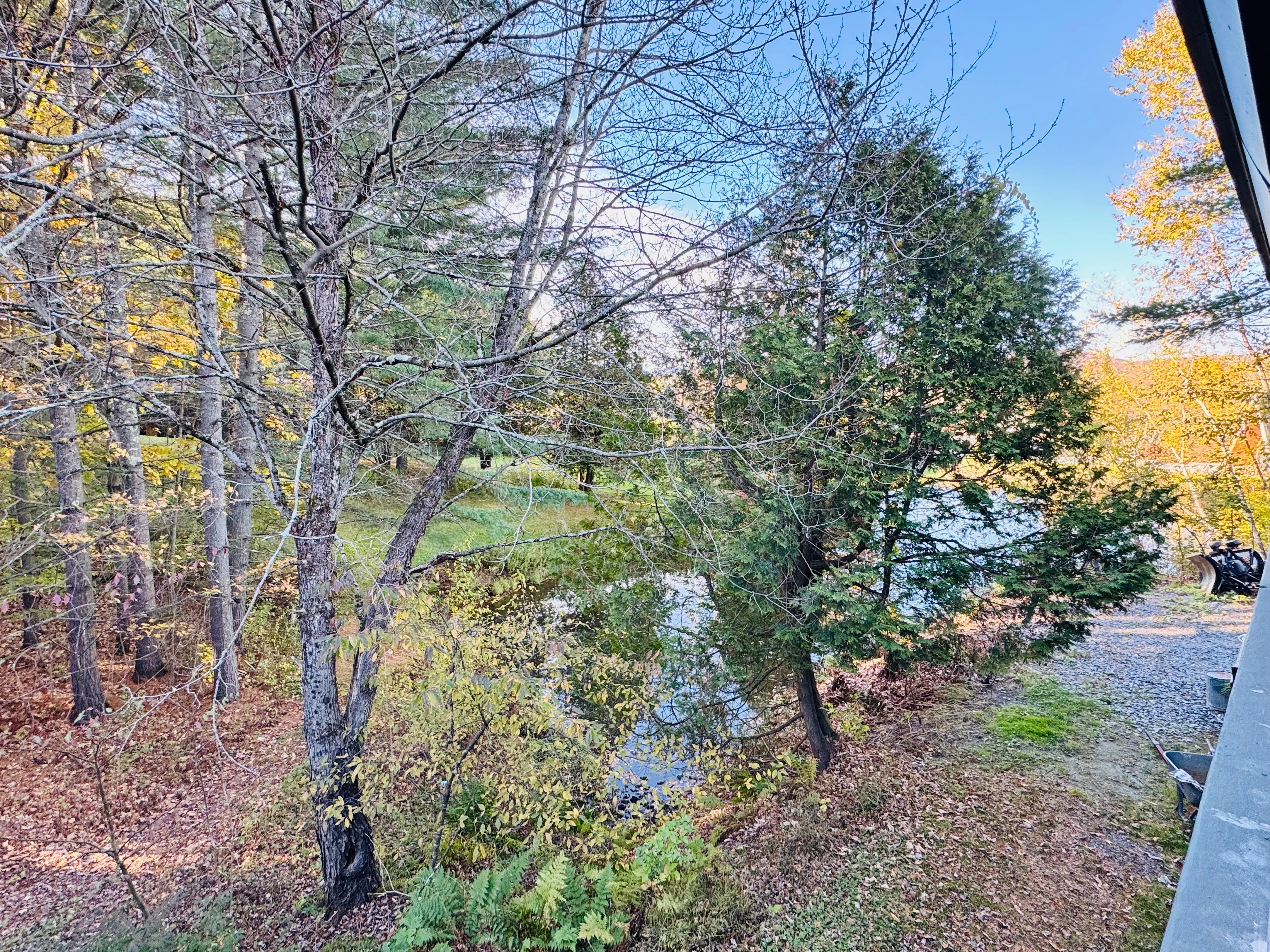 View of pond from our balcony 