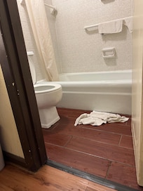 Low toilet
