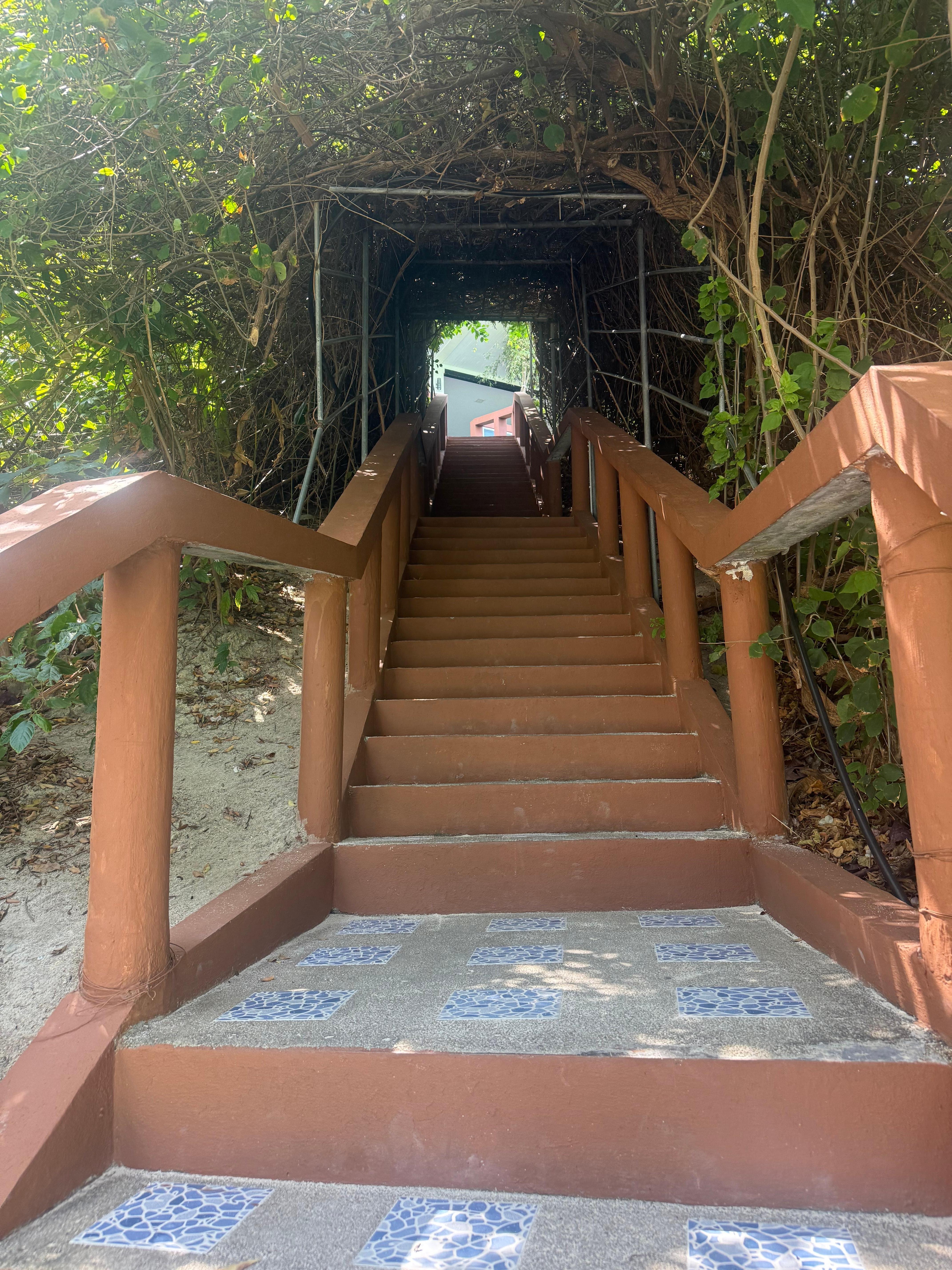 Lots of stairs found to the beach