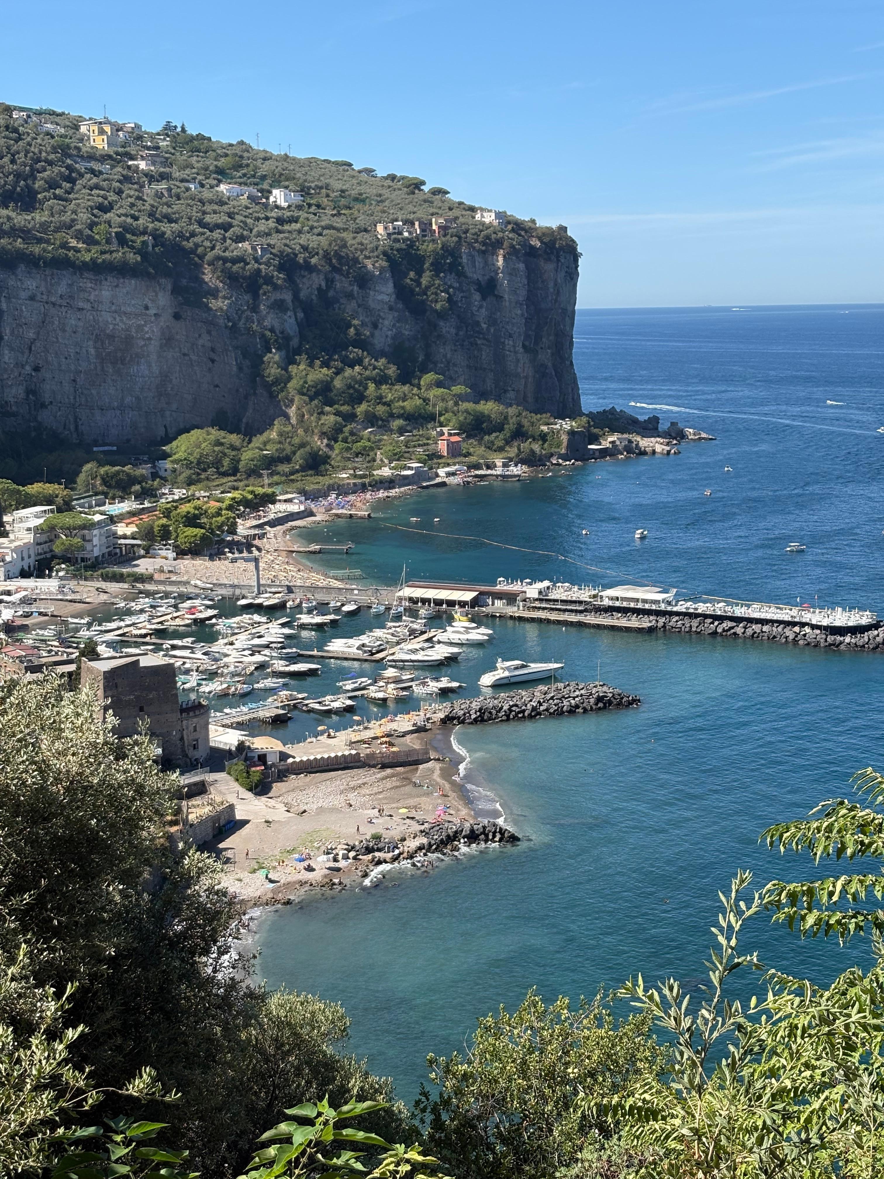 View from patio area