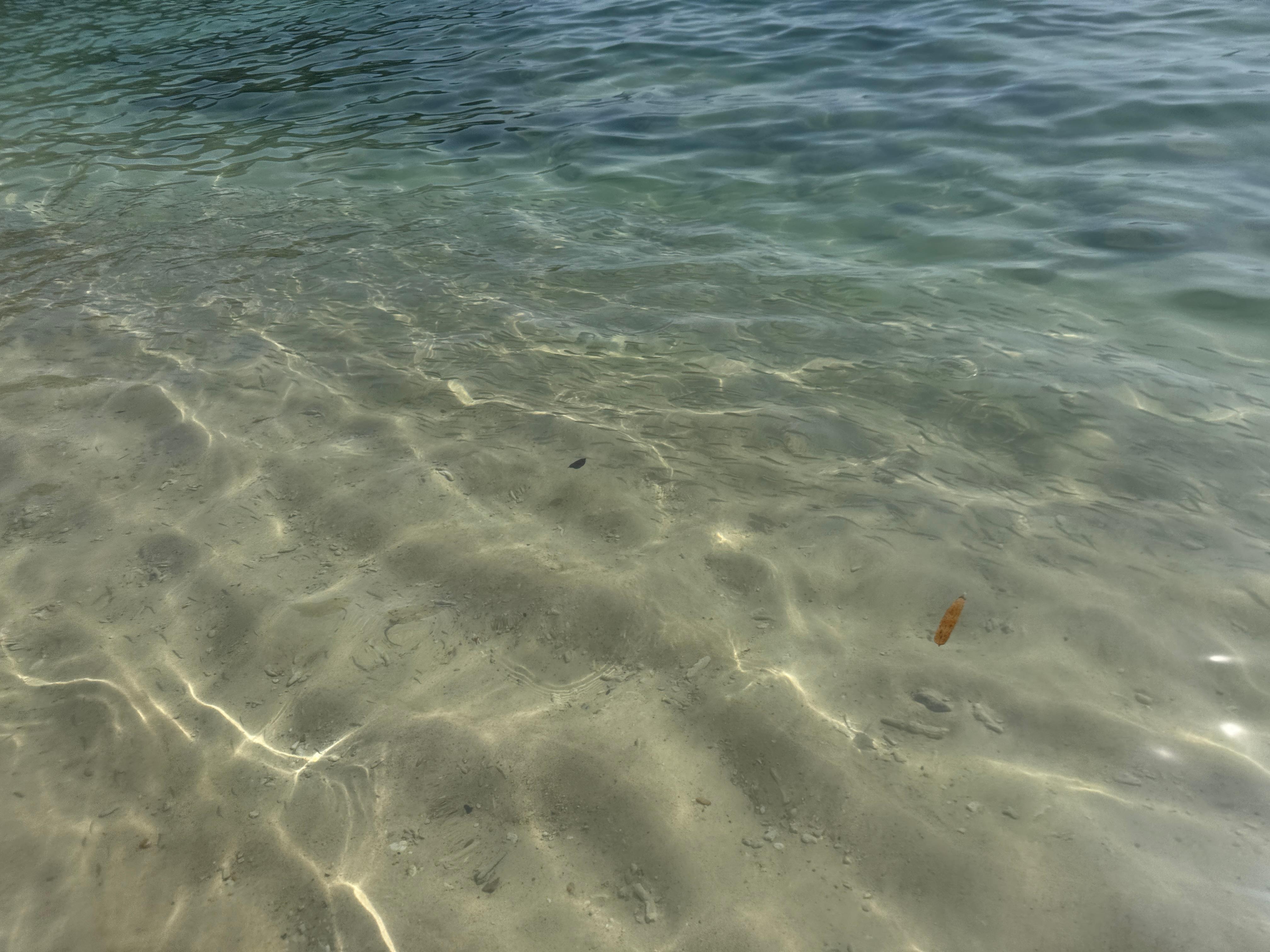 Snorkeling is so fun 