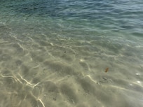 Snorkeling is so fun