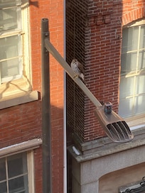 Two big glass windows allow a view of the outside weather.