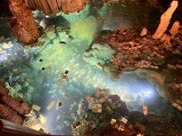 Wishing well in Luray Caverns