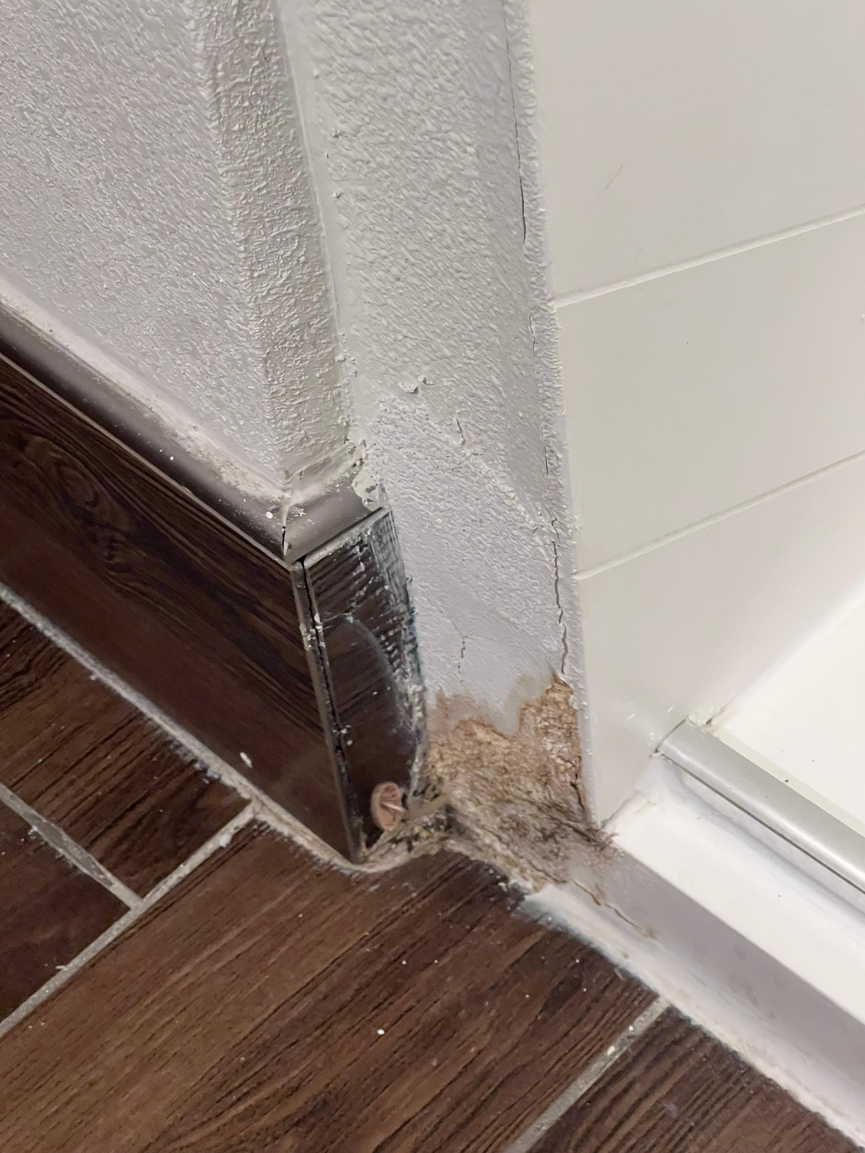 Mold in bathroom room 326