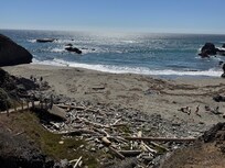 Beach in Sea Ranch