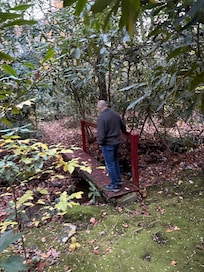 Back yard leads right to a great trail in Pisgah