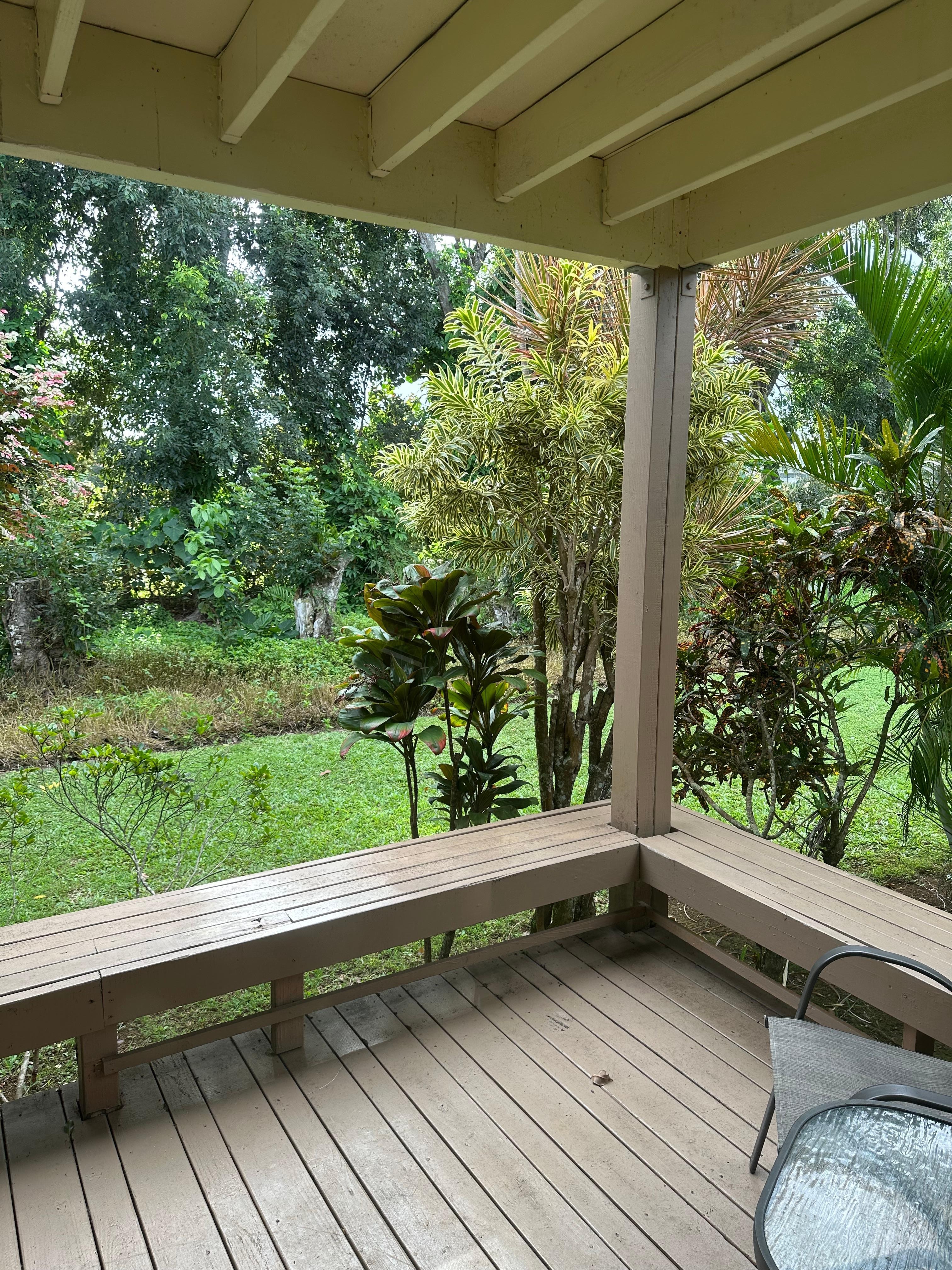 The back patio haven 