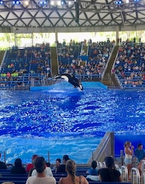Sea World San Antonio was awesome. It is a huge park! We enjoyed some shows and the rollercoasters there, too.