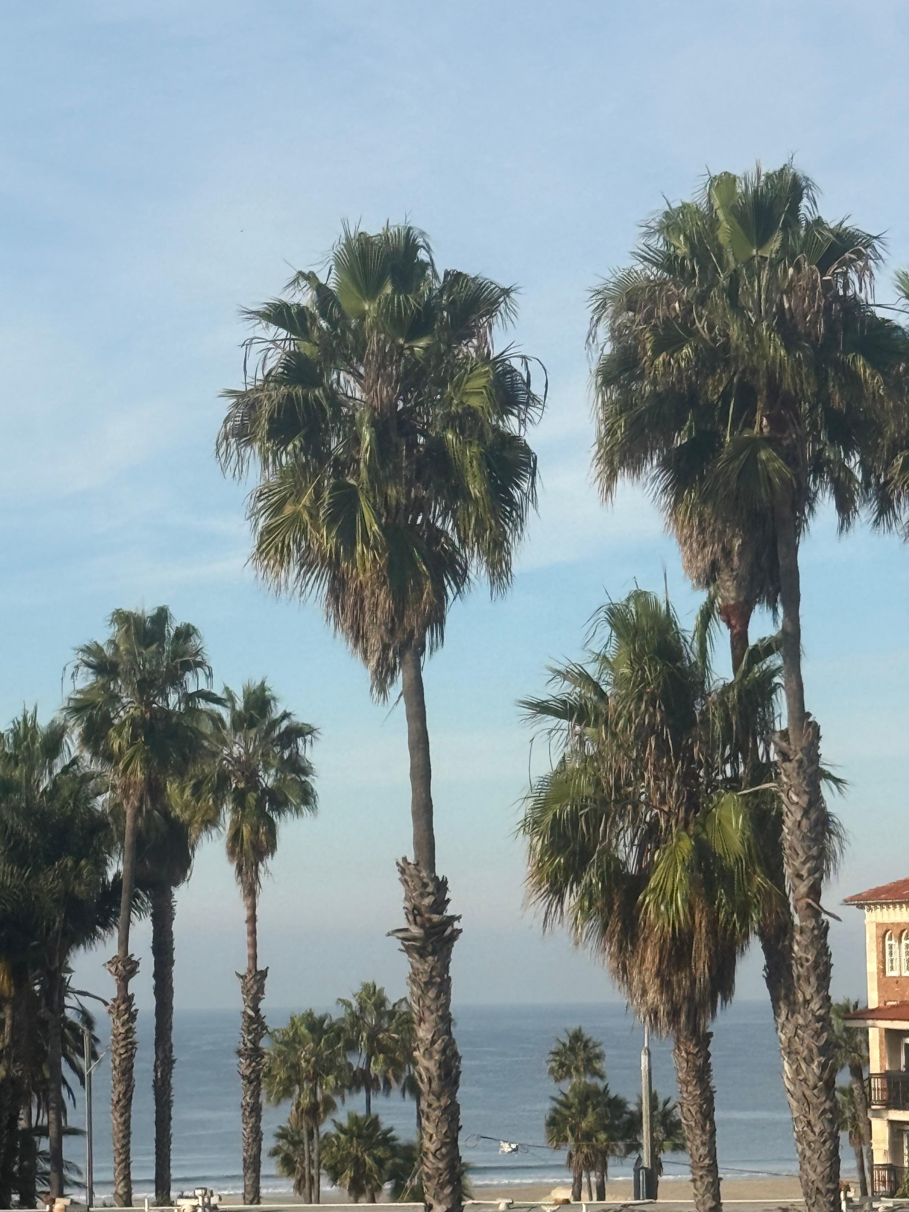 Zoomed
In view
From primary room 