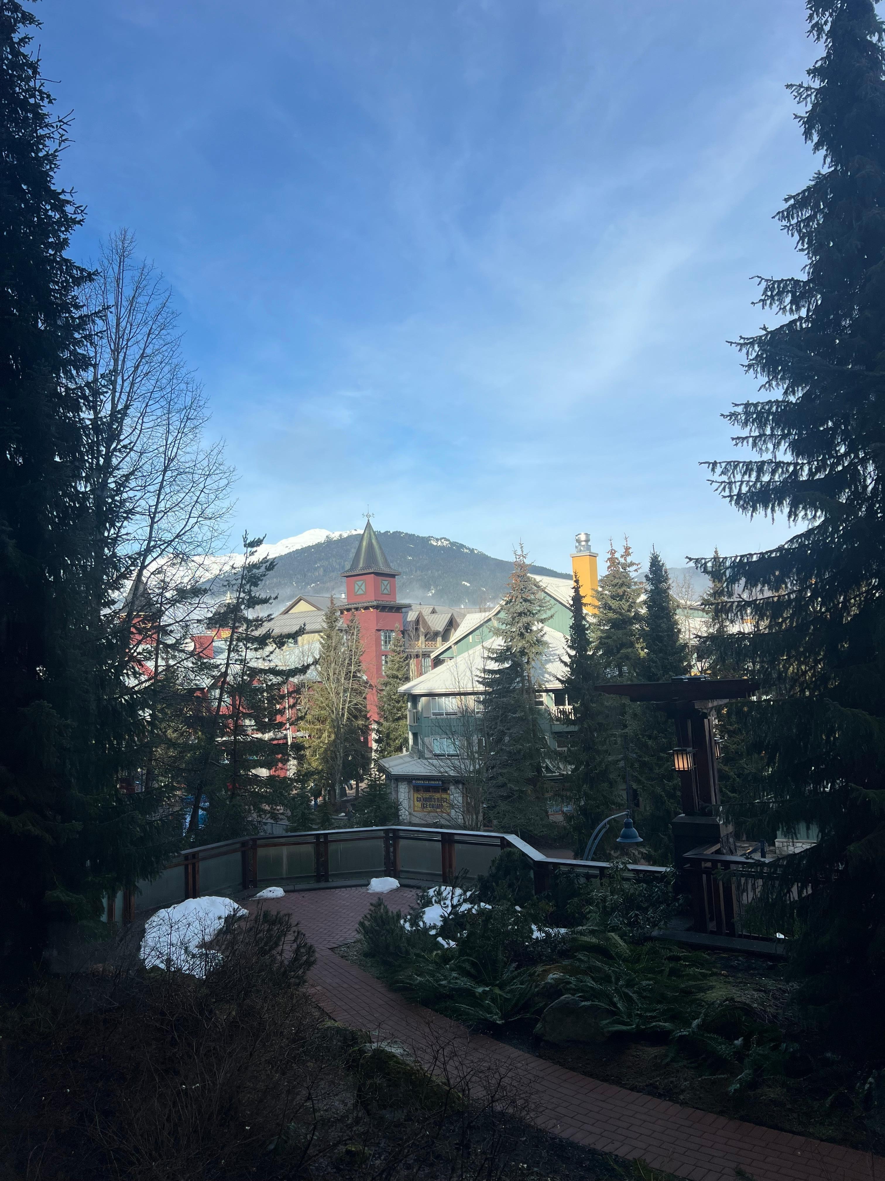 View from our lower level one bedroom apartment 