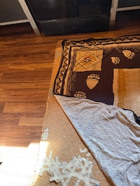 Entire “rug” had filthy tape and dog hair on it .