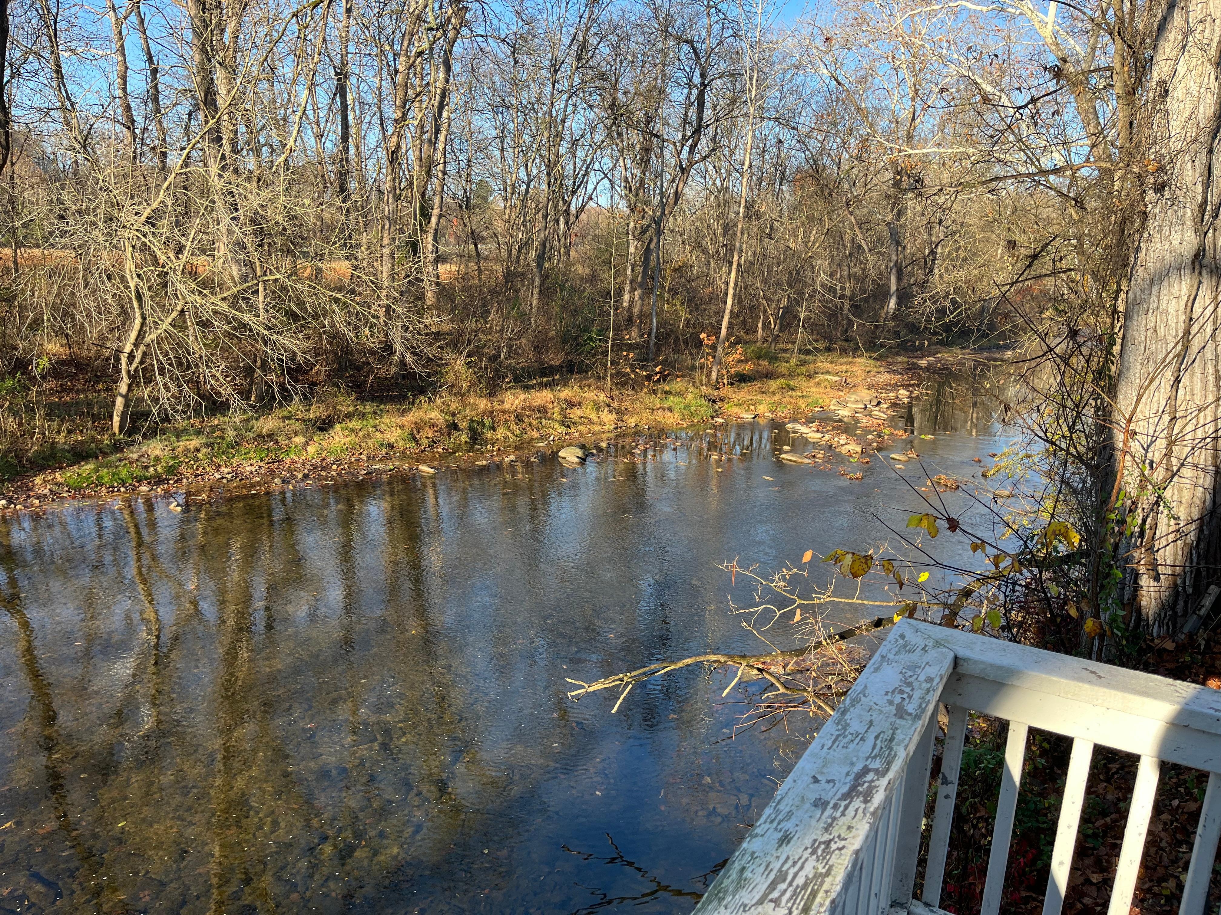 View from the deck 2